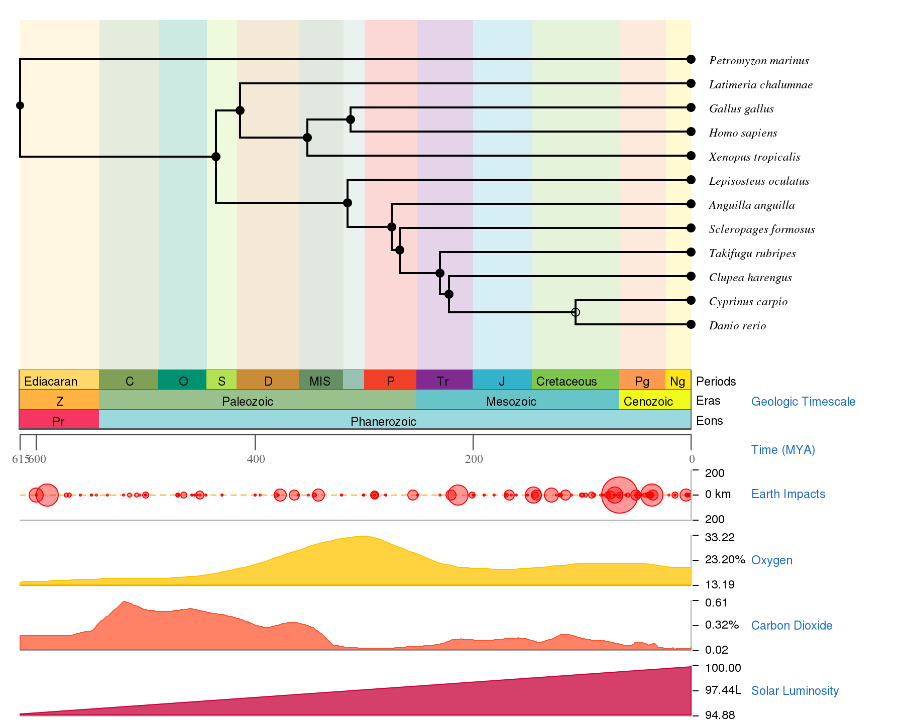 Species Tree from TimeTree.org